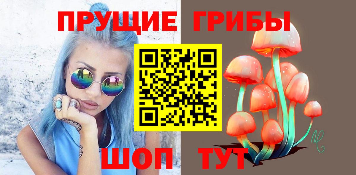 Галлюциногенные грибы Cubensis Вятские Поляны